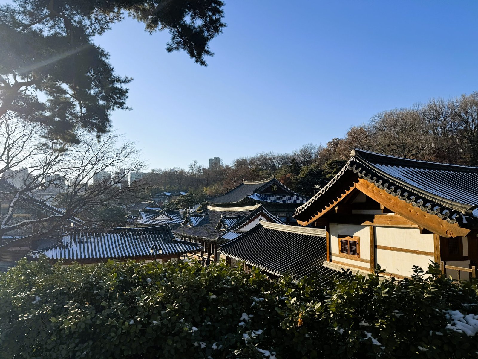 A view of a Korean Buddhist temple through snowy bushes in winter, and a blue sky above